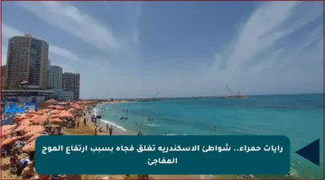 رايات حمراء.. شواطئ الإسكندرية تغلق فجأة بسبب ارتفاع الموج المفاجئ